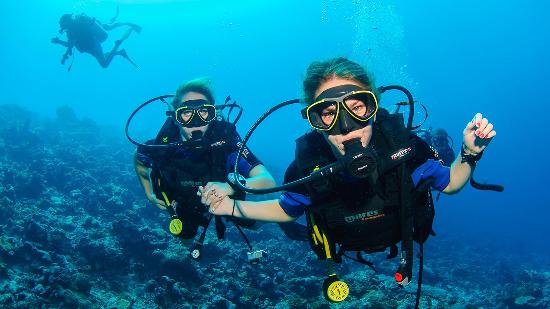The Ultimate Guide to Scuba Diving and Water Sports in Goa